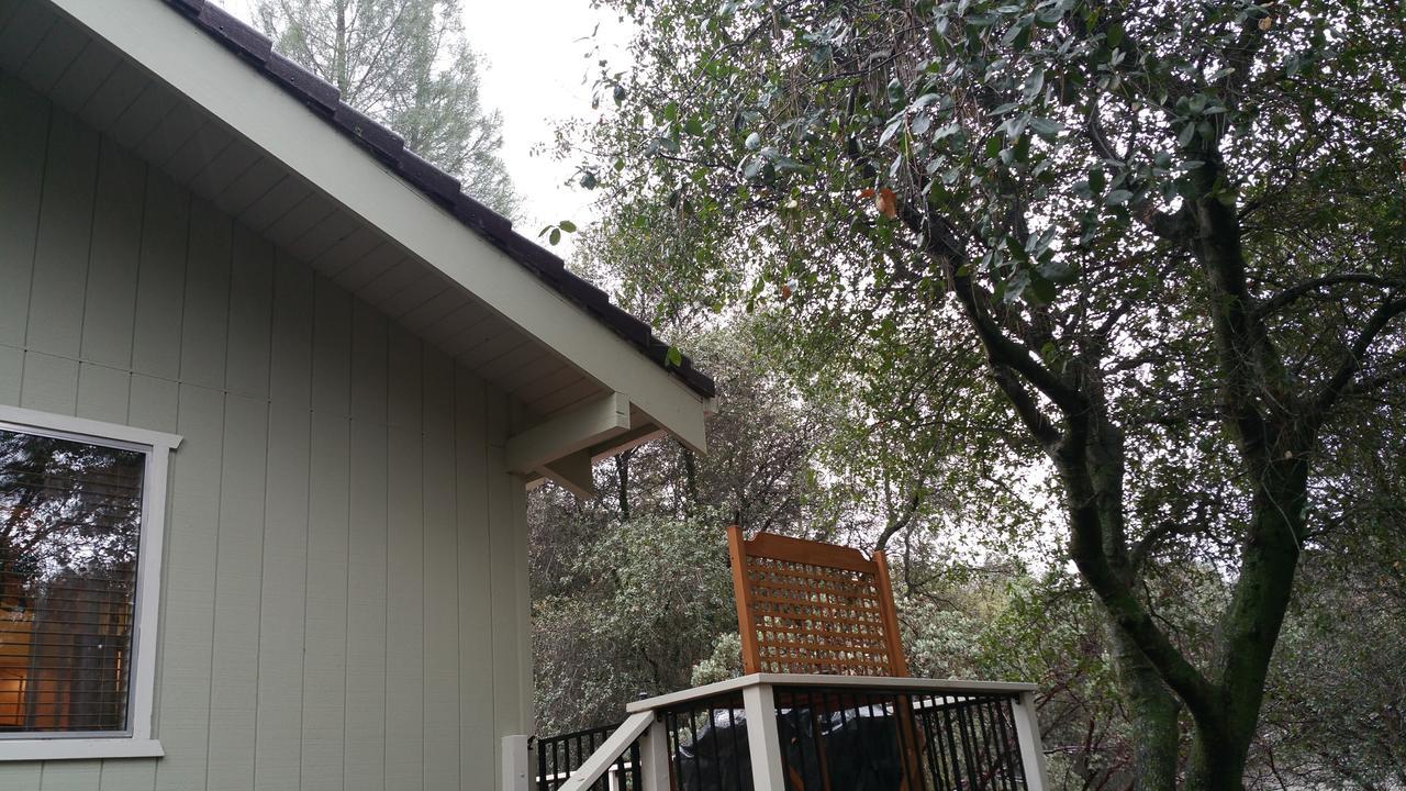 Lovely Mountain Lake Chalet By Yosemite: Equipped! Groveland Exterior photo